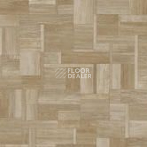 Линолеум Tarkett Bonus DUOMO 2 фото 1 | FLOORDEALER